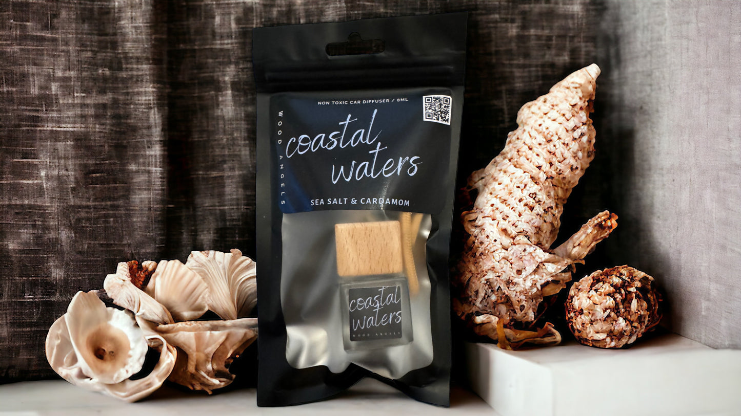 Coastal Waters Car Diffuser